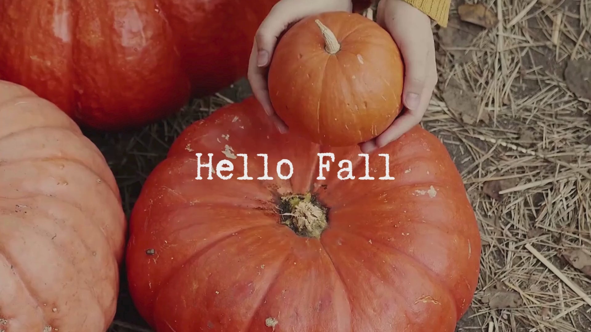 Load video: 